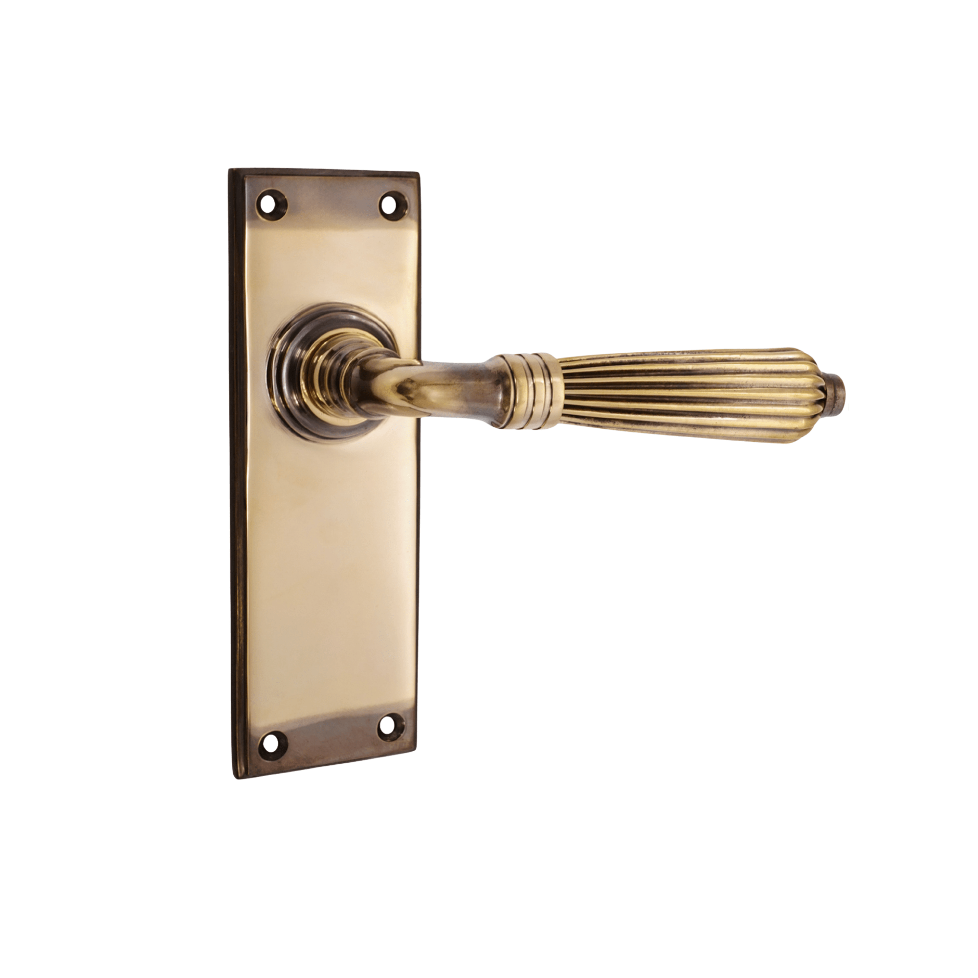 Regency Lever on Backplate Latch