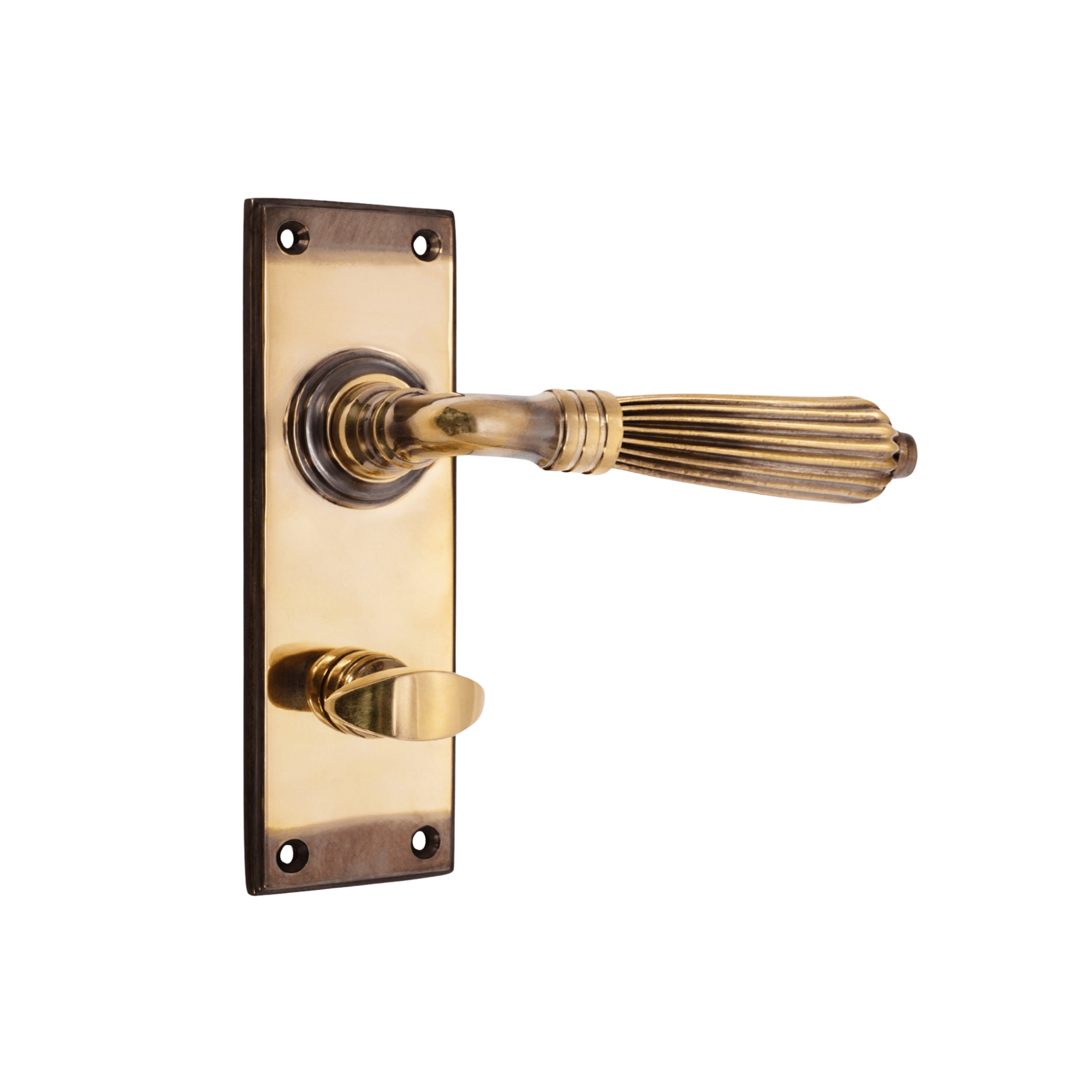 Regency Lever on Backplate Bathroom