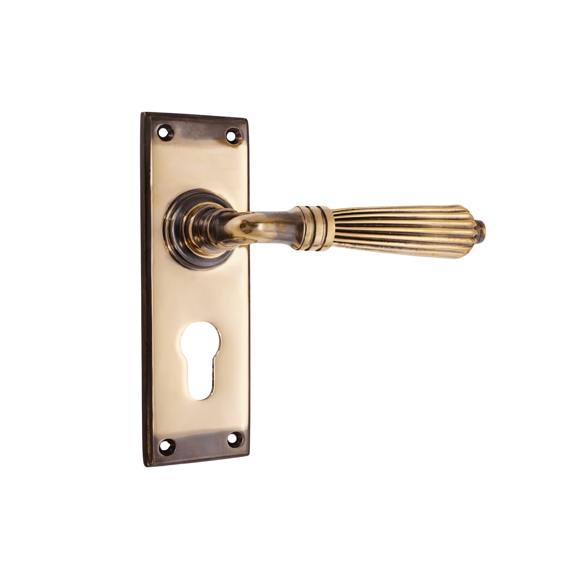 Regency Lever on Backplate Euro